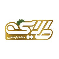 photo_2025-12-28_15-03-24 (10)